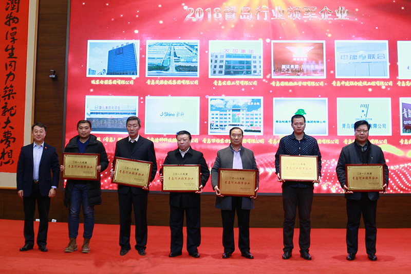 民營(yíng)企業(yè)高質(zhì)量發(fā)展，德才集團(tuán)再獲殊榮領(lǐng)跑民企(圖2)