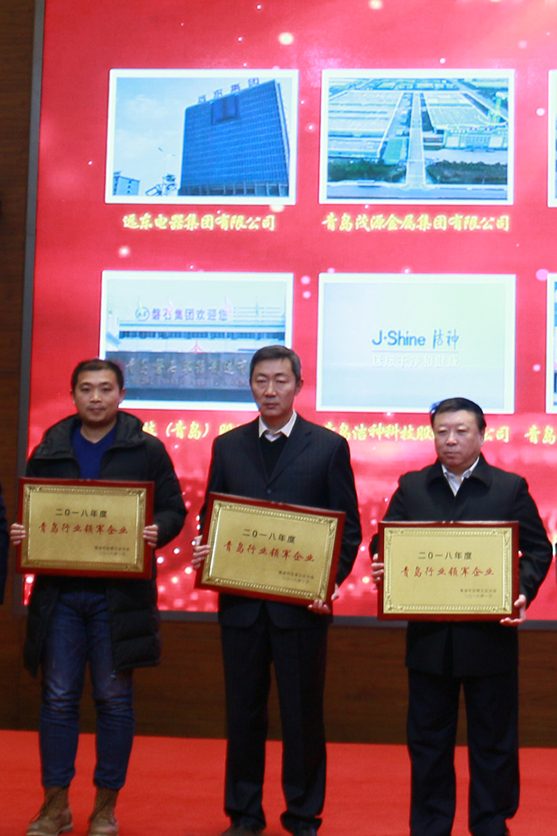 民營(yíng)企業(yè)高質(zhì)量發(fā)展，德才集團(tuán)再獲殊榮領(lǐng)跑民企(圖6)