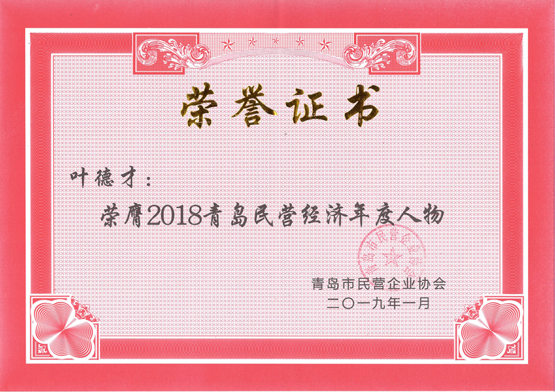 民營(yíng)企業(yè)高質(zhì)量發(fā)展，德才集團(tuán)再獲殊榮領(lǐng)跑民企(圖7)