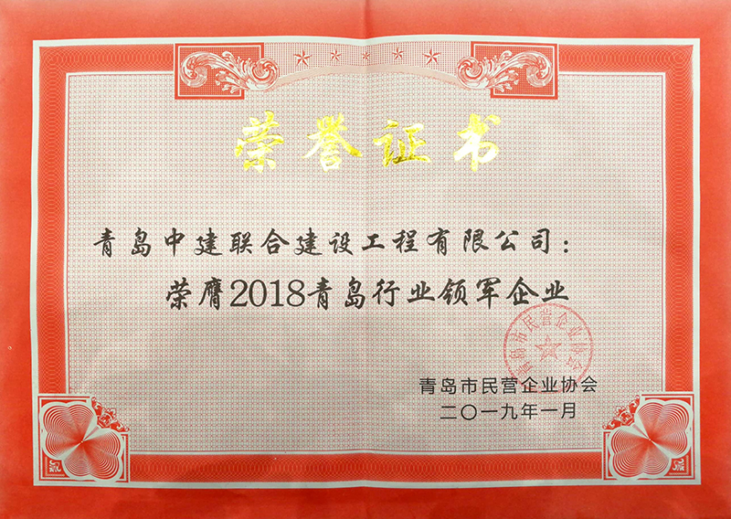 民營(yíng)企業(yè)高質(zhì)量發(fā)展，德才集團(tuán)再獲殊榮領(lǐng)跑民企(圖8)